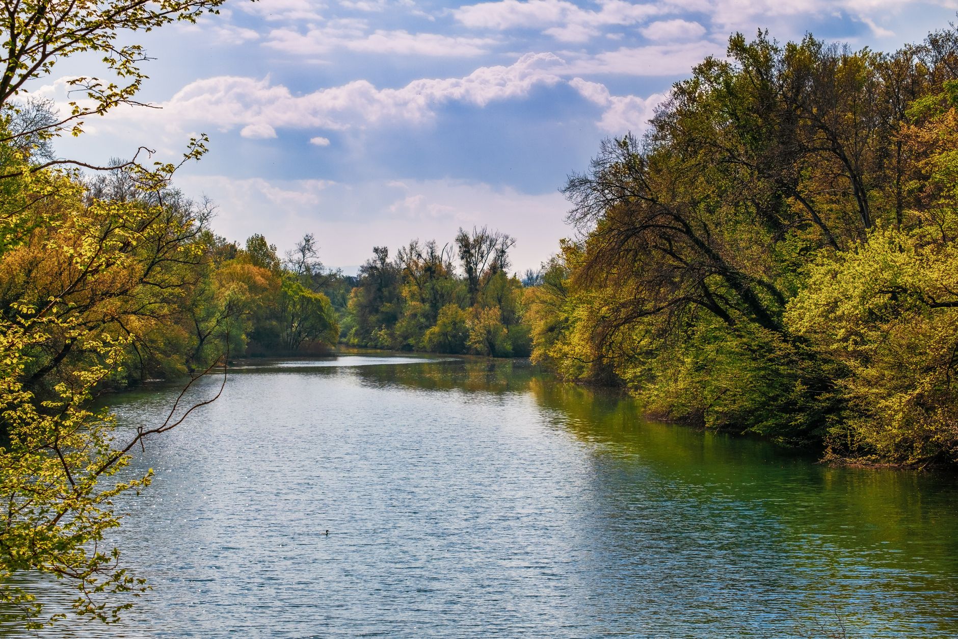 view of a river flowing between autumnal trees
